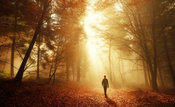 Управляват ни програми. Махнете старите.