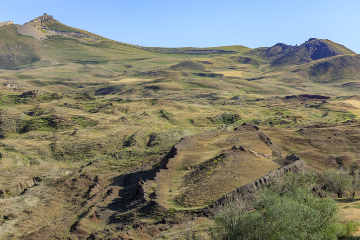 снимки: Istock