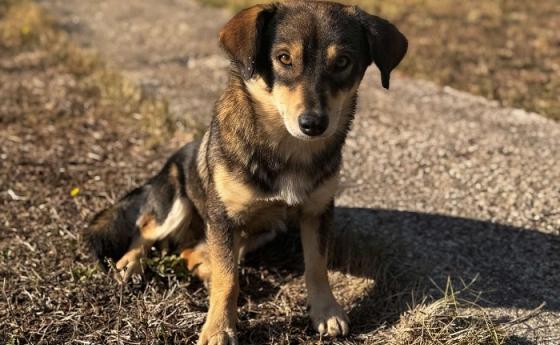 Днес спасих човек...