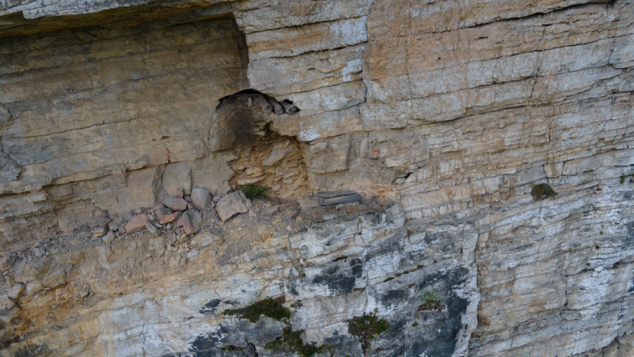 Снимка: Сайгюджи-Норико, лиценз Creative Commons Attribution-Share Alike 4.0, Wikimedia