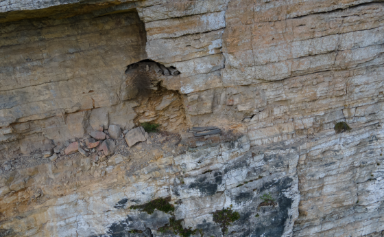 Открити са ДНК доказателства за съществуването на „летящите хора“ в Китай