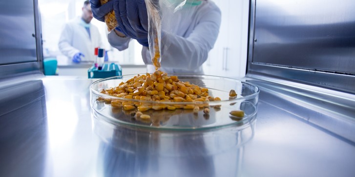 снимка: iStock