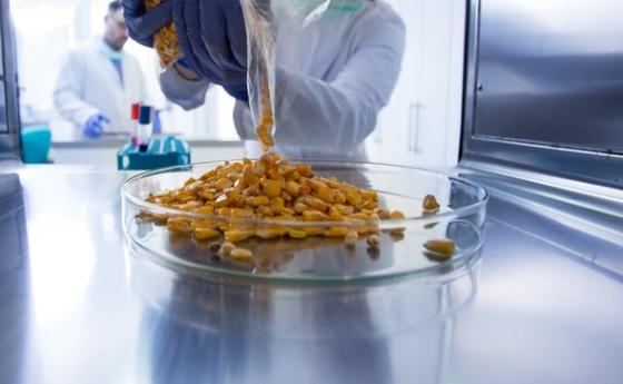 Нова ГМО сделка