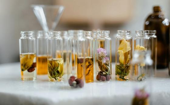 Цветен еликсир връща твоя мир