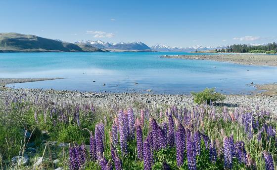 Единствената причина за провал в живота е нежеланието да се бориш