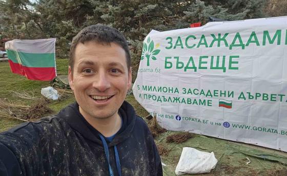 Засади дърво за Коледа, вместо да отсечеш