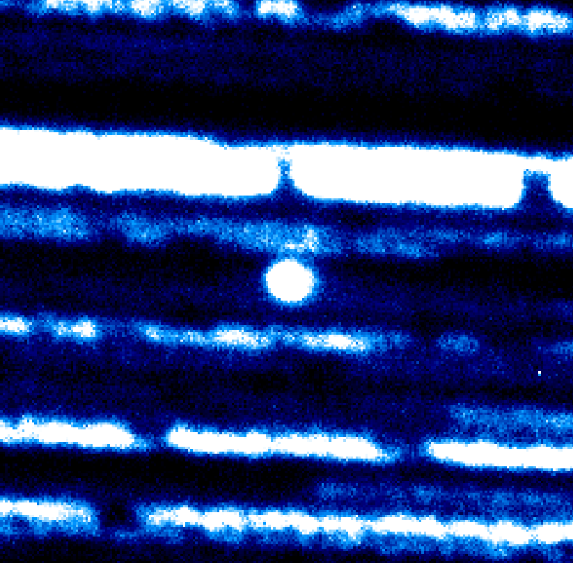 Снимка: НАО Рожен