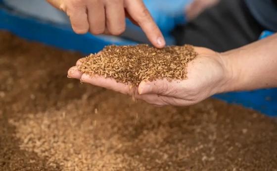 Ферма за мухи във Виена превръща хранителни отпадъци в ценни ресурси