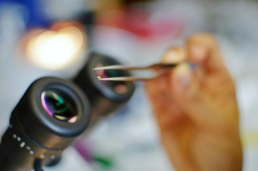 Снимка: Медора Кеа, Creative Commons Attribution 4.0, Wikimedia Commons