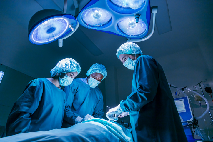 снимка: iStock