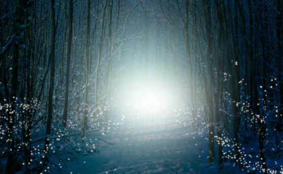 Седмична ведическа прогноза