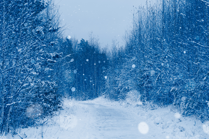 снимка: iStock