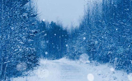 Седмична ведическа прогноза