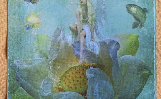 Седмица Вода – карта Таро за 29 януари