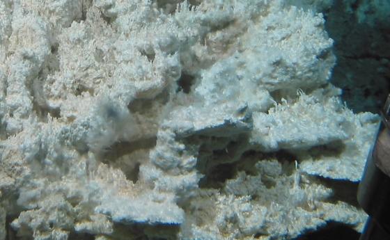 Тайната на Изгубения град