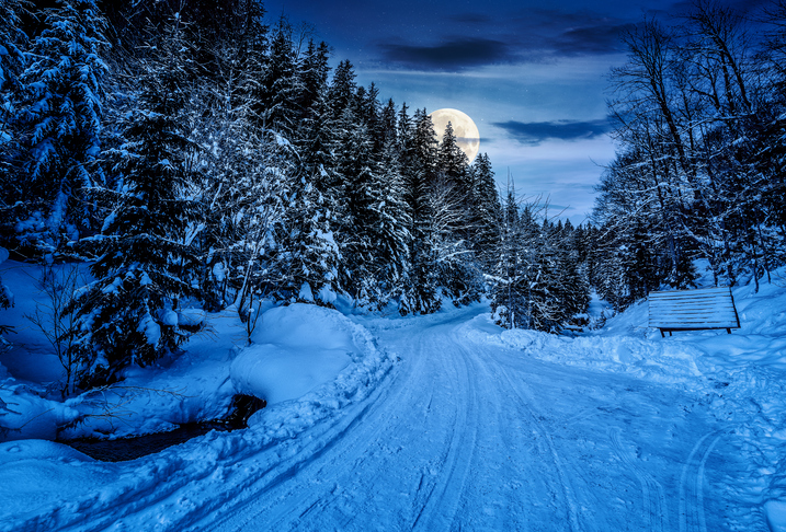 снимка: iStock