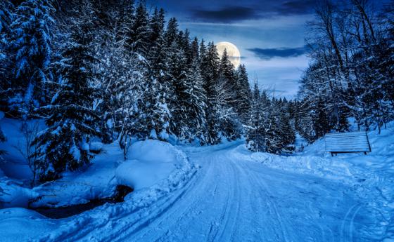 Седмична ведическа прогноза