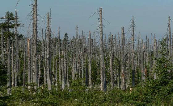 Невидим химически дъжд трови Земята