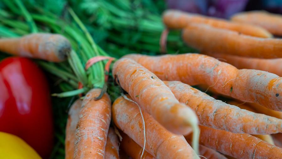 Снимка: Министерство на земеделието на САЩ, обществено достояние, Wikimedia Commons