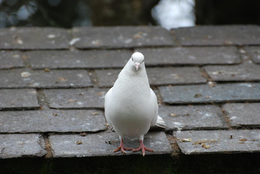 Снимка: Керин Гедж, Unsplash