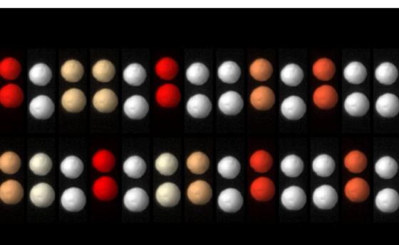 Времевите кристали не спазват законите на Нютон