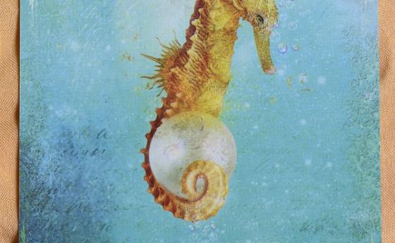 Карта Таро за 9 март - Асо Вода