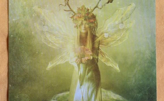 Карта Таро за 14 март - Четворка Земя