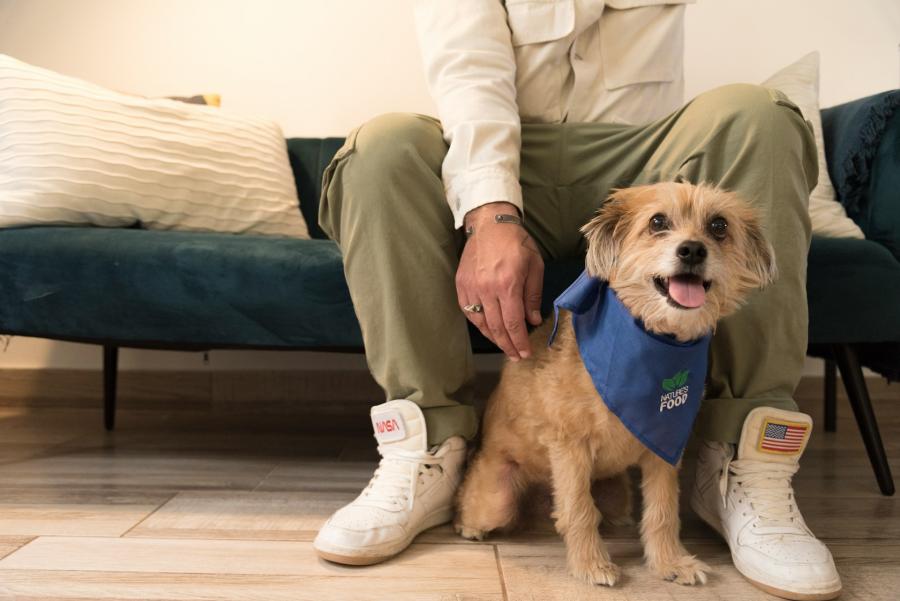 Снимка: Real Natures Food, Unsplash