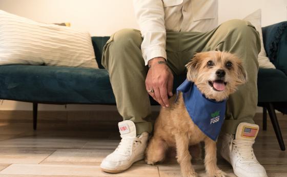 Имат ли животните души?