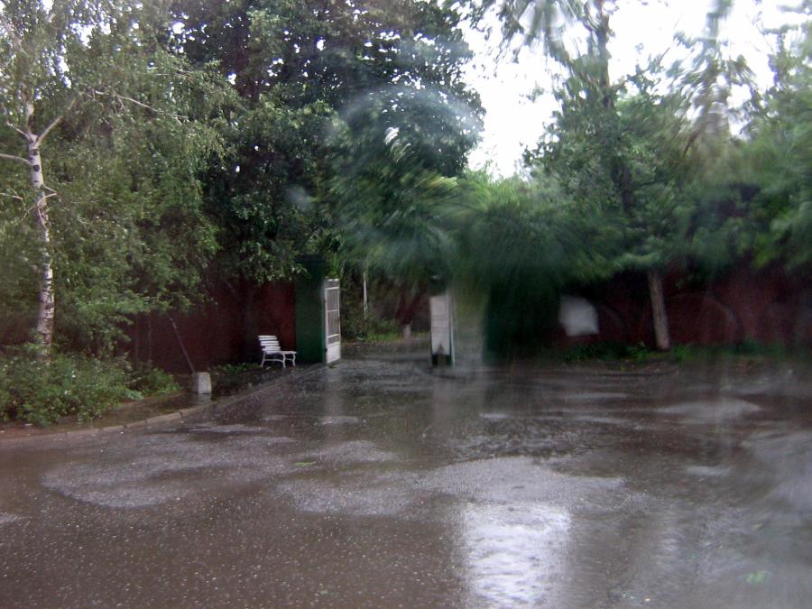 Снимка: Авторът