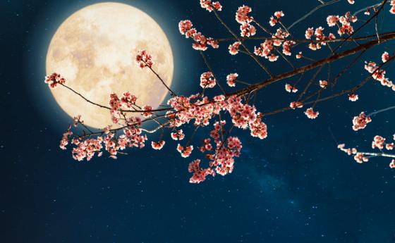 Пълнолунието във Везни ни разкрива кое е най-важно във връзките ни