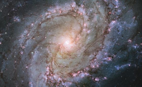 Екхарт Толе: Може би мозъкът е просто приемник на съзнание - както радиото приема музика