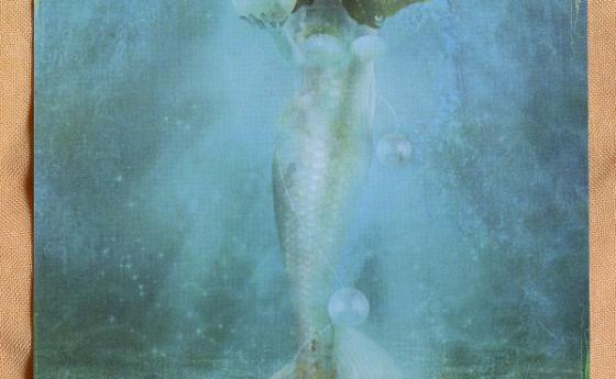 Карта Таро за 9 април - Четворка Вода