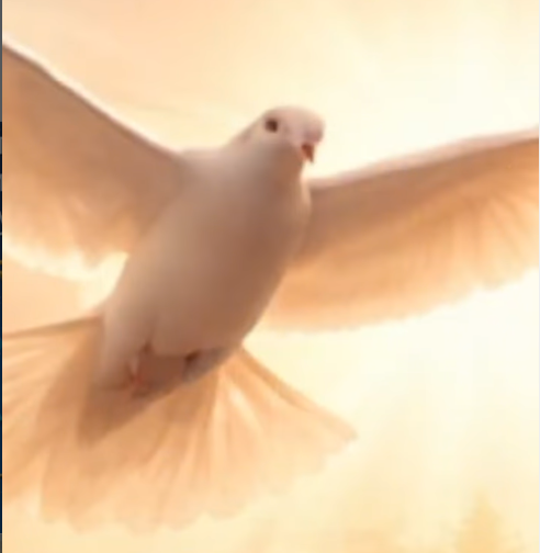 „Молитва за мир - Петронимус”