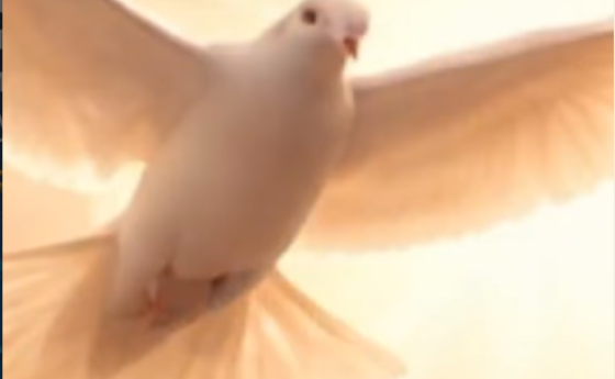 „Молитва за мир - Петронимус”