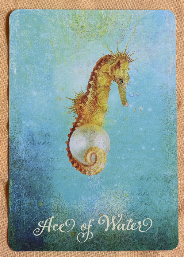 Карта Таро за 15 април - Асо Вода