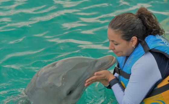 Изкуственият интелект като доктор Дулитъл