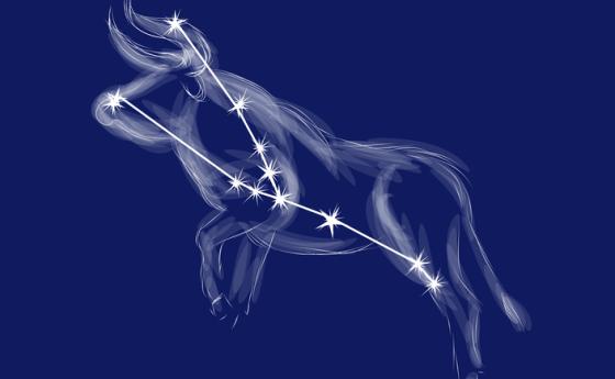 Сезонът на Телеца: силата на постоянството и спокойствието