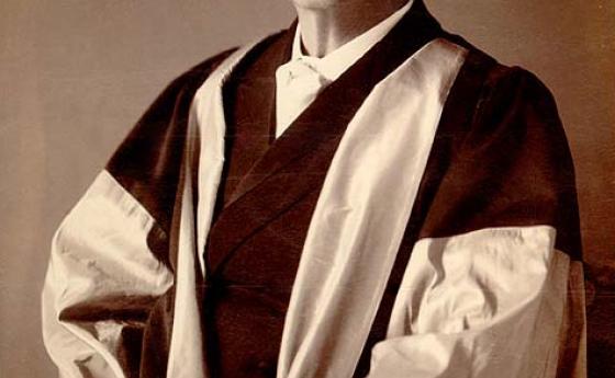 Прошката е ароматът, който теменужката пуска върху петата, която я е смачкала