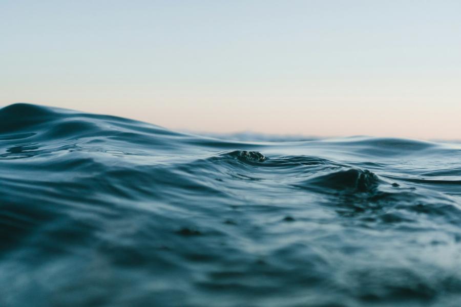 Снимка: Мат Харди, Unsplash