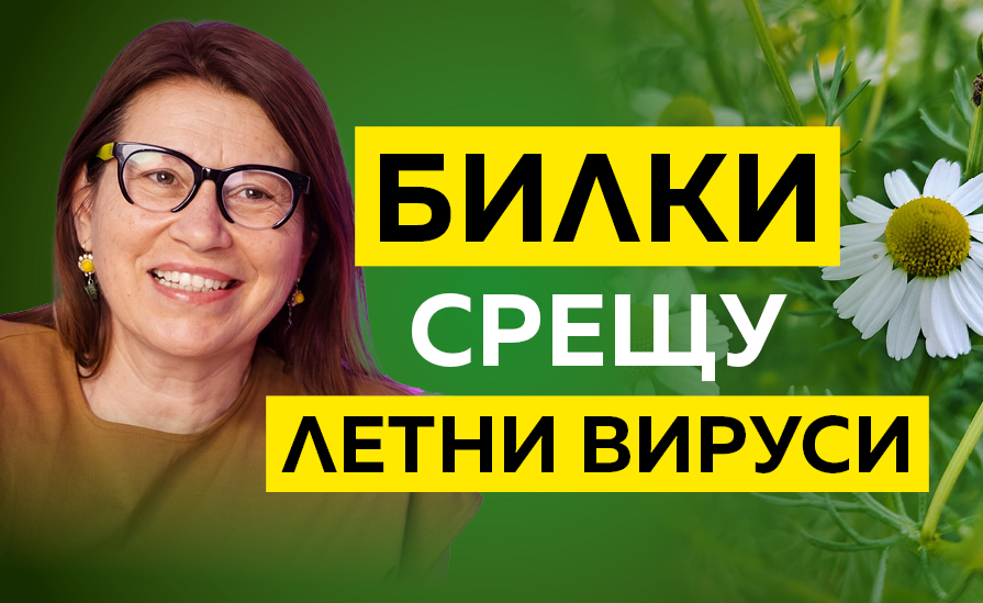 Петте важни билки за лятната аптечка с Анна Стефанова