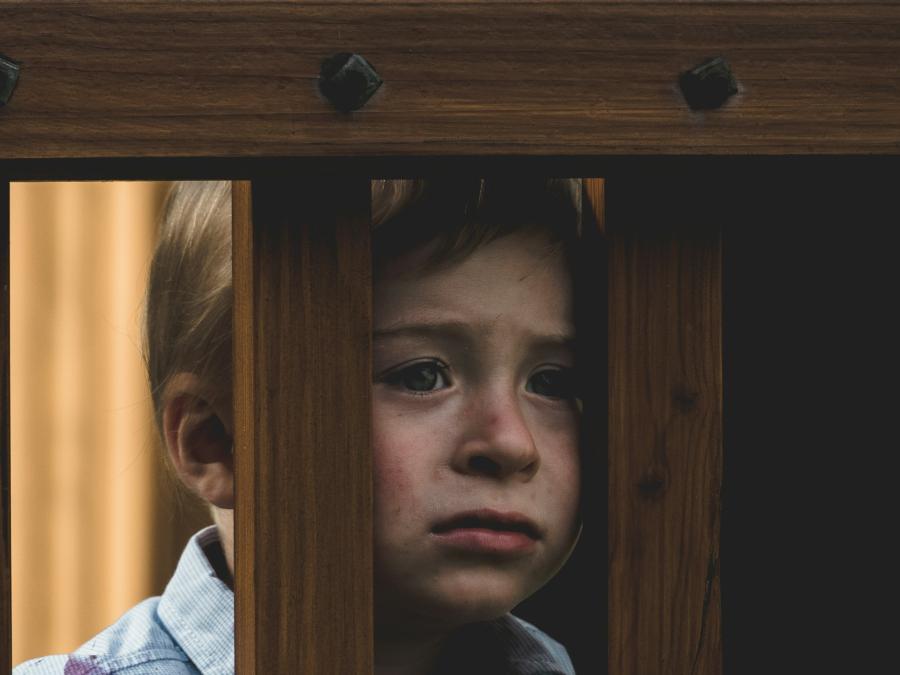 Снимка: Тадеуш Лакота, Unsplash